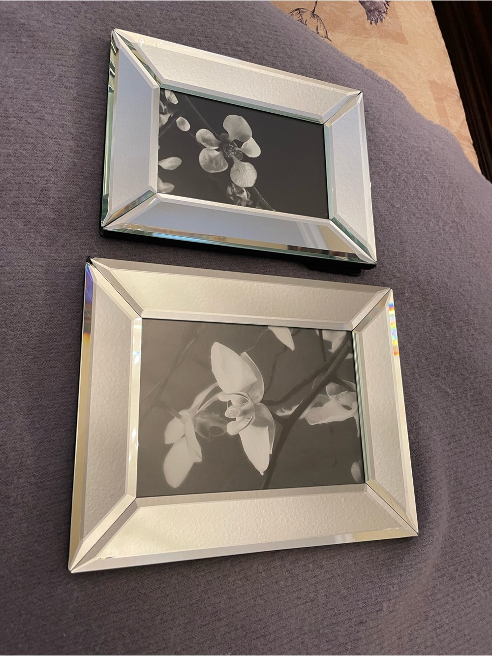 Mirrored Silver Floral Frames - Set of 2